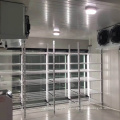 Mini cold storage cold room